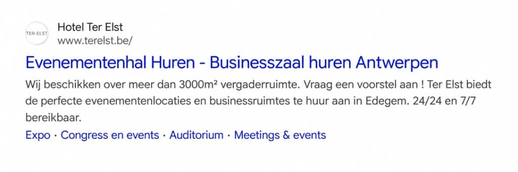 Desktop Google-zoekresultaat met een advertentie voor Hotel Ter Elst bovenaan